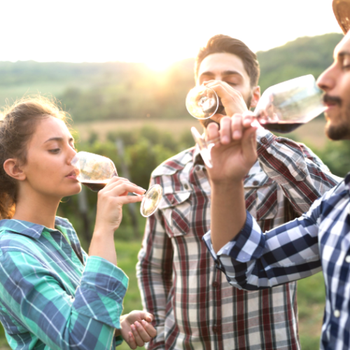 due ragazzi e una ragazza bevono vino in una vigna