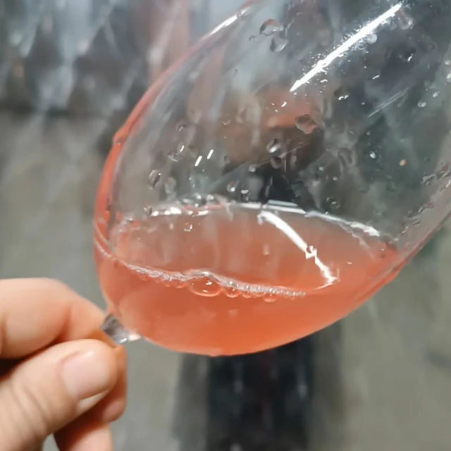 Rosato di Nebbiolo 2024 #langhe #nebbiolo